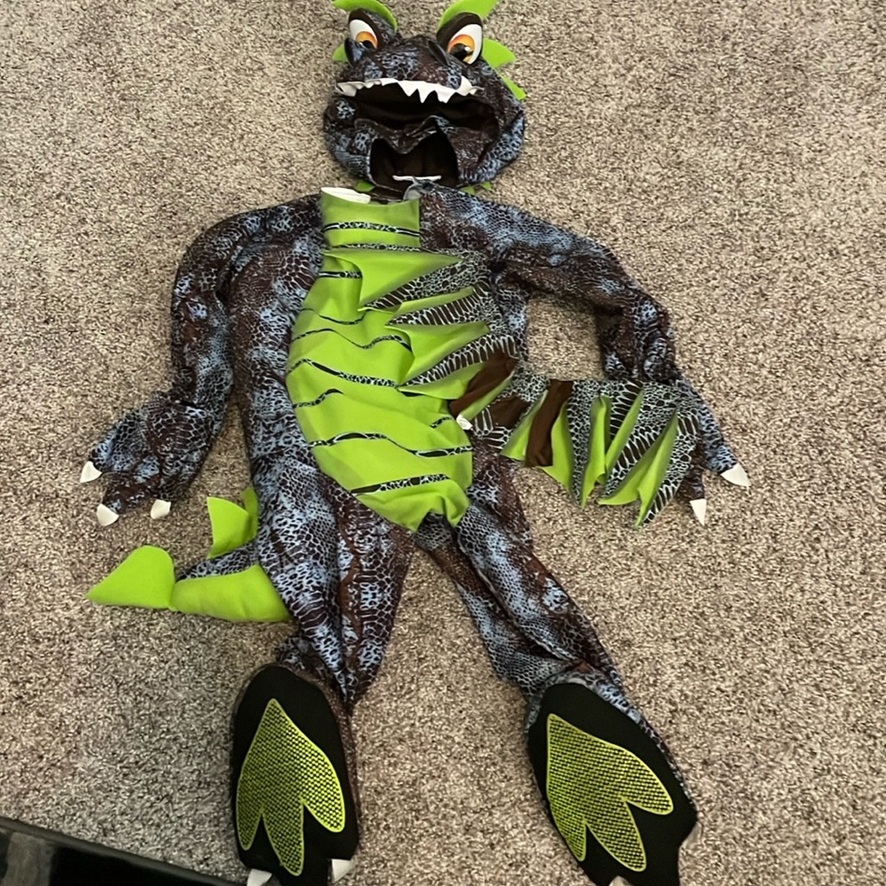 Size 24 months dragon costume